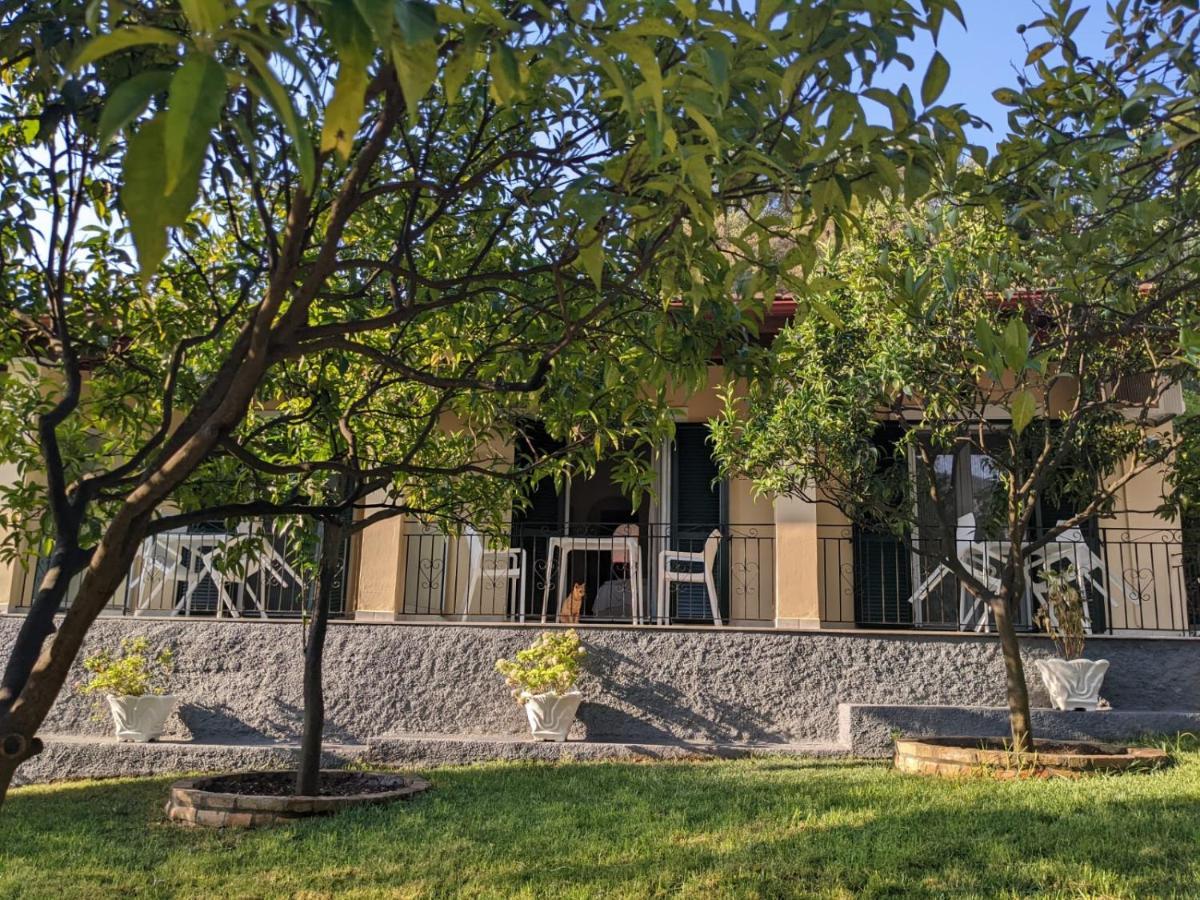 Villa Eleni - Studios Liapades Eksteriør billede